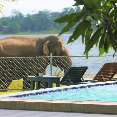 Hotel Lake Park Polonnaruwa Ngoại thất bức ảnh