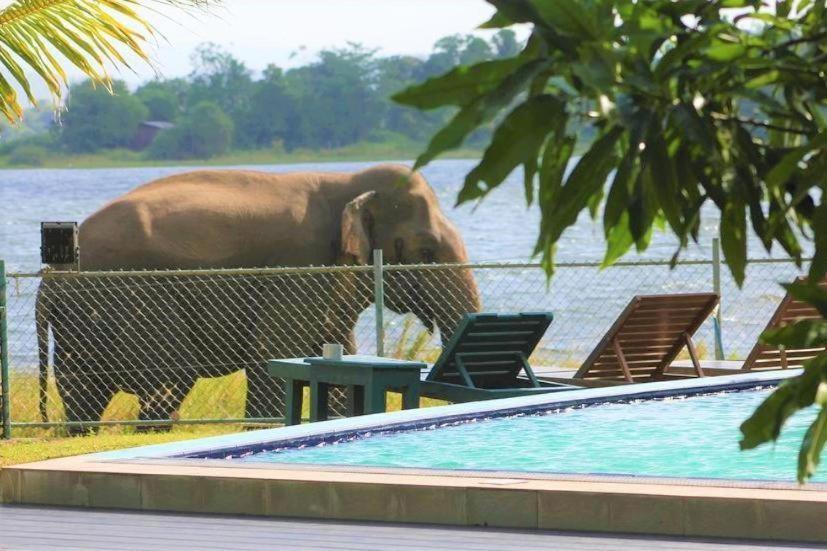 Hotel Lake Park Polonnaruwa Ngoại thất bức ảnh